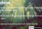 10 Lines on Environment in Hindi