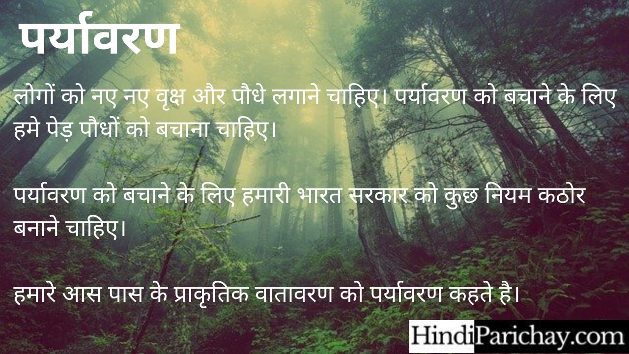environment essay in hindi 10 lines