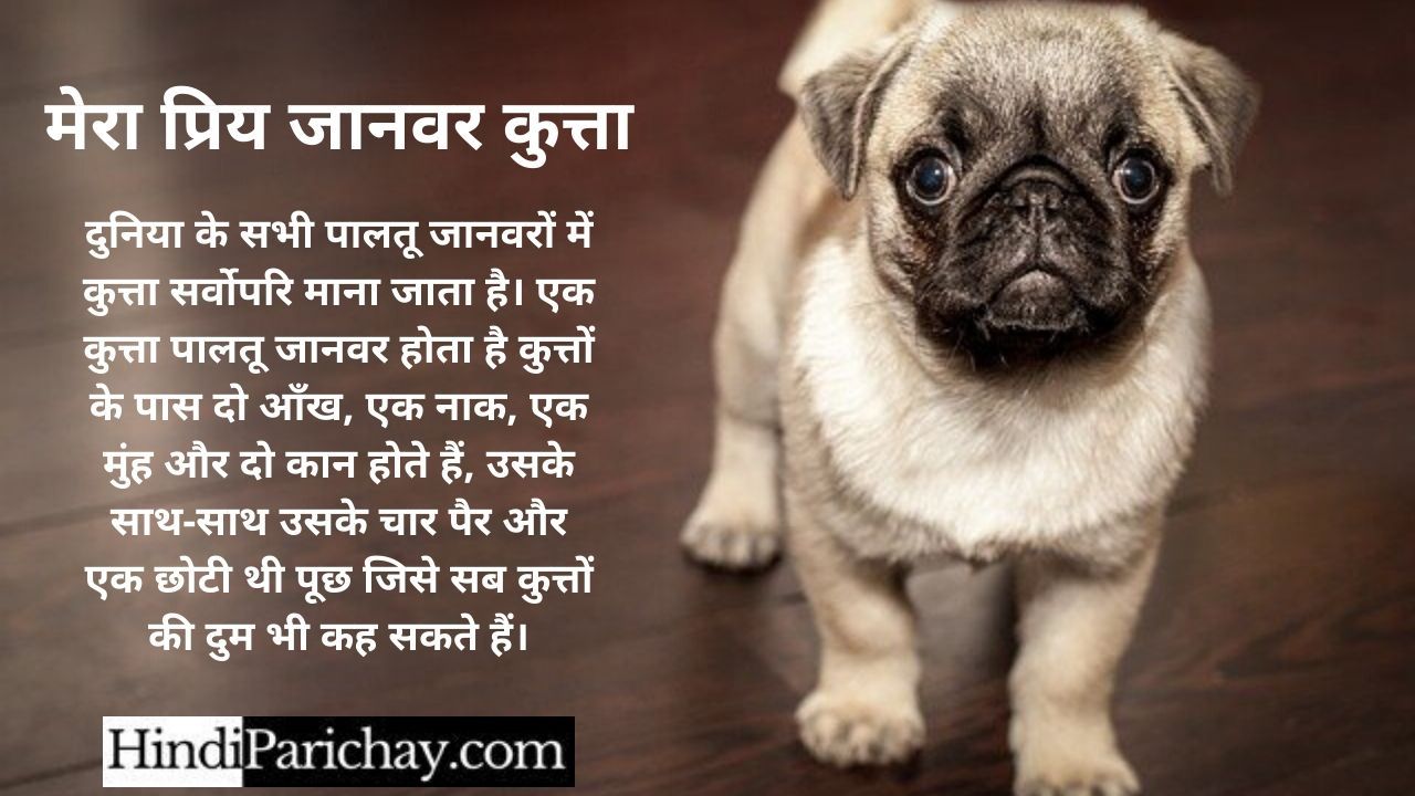 Dog Essay in Hindi